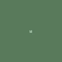 墨夜 (Midnight Ink) - 韩国伦理 创作者头像